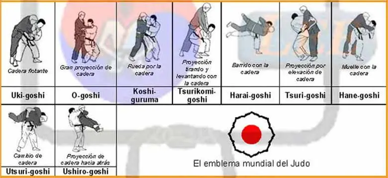 llaves de judo paso a paso - Cómo se divide el judo