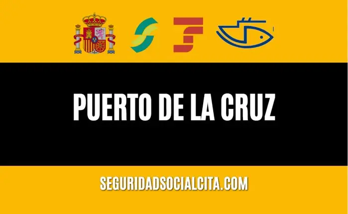 clave permanente seguridad social puerto de la cruz - Cómo solicitar la clave de la Seguridad Social