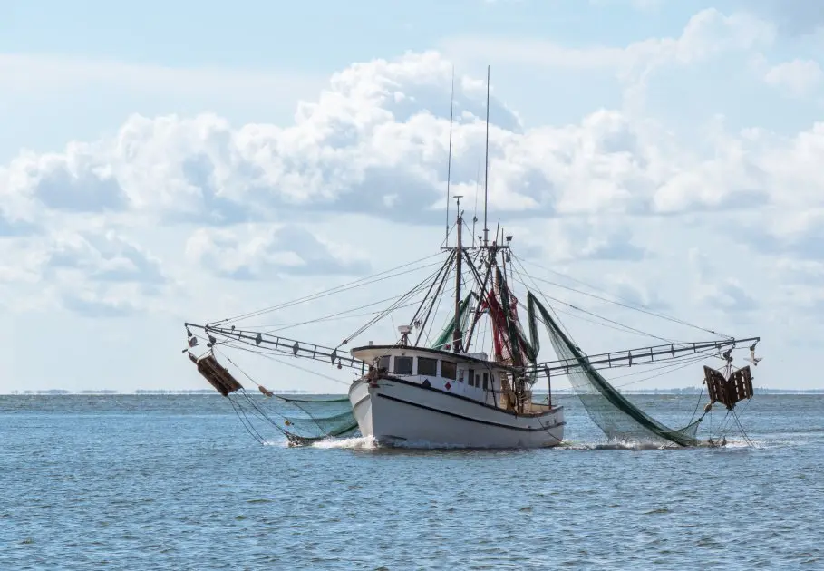 curso de seguridad y salvamento puerto de la coruña - Cuánto dura el curso marinero pescador